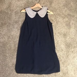 Navy dress with gray Peter Pan collar